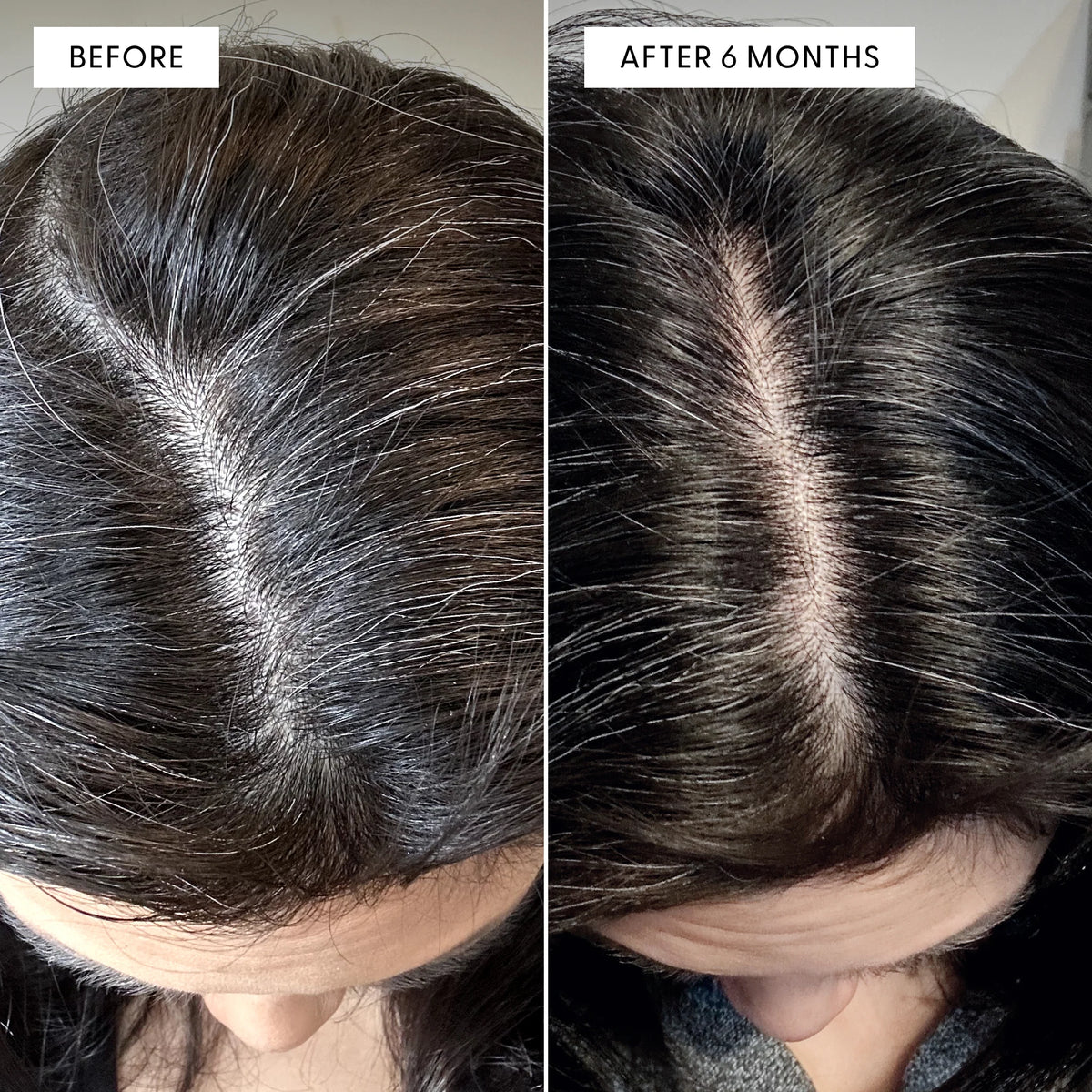 Root Revival
