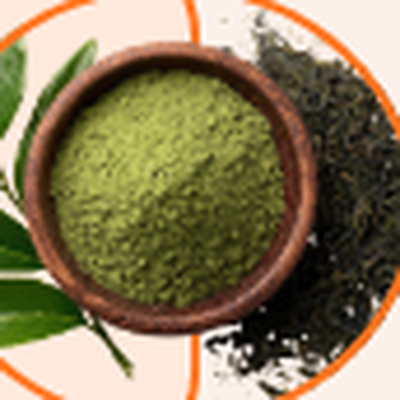 Green Tea Extract