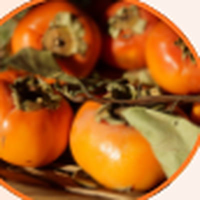Persimmon Extract