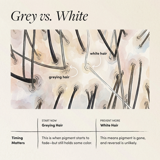 Grey Can Wait
